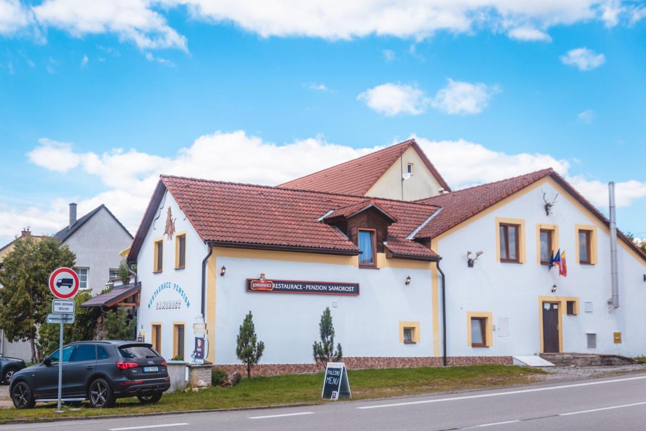 Penzion Samorost Jarosov nad Nezarkou Екстериор снимка